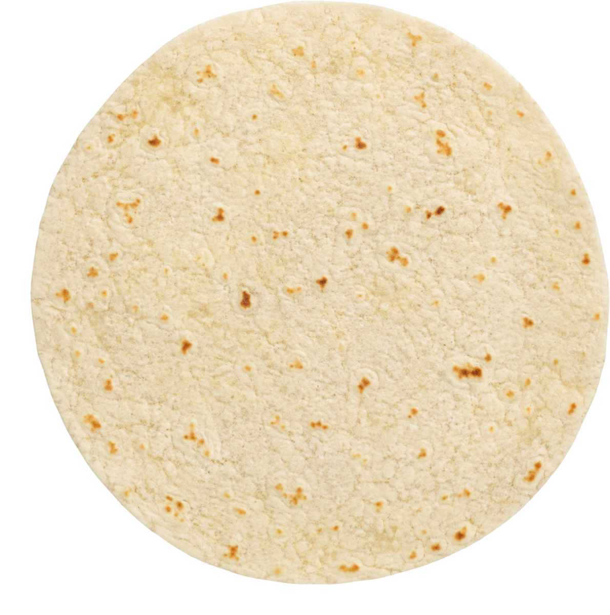 A plain conventional flour tortilla